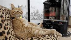 Apartment Heaters