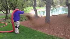 Blower Pump