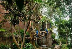 Conservation