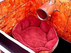 Infrared Heater