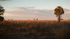 Solar Energy Plant