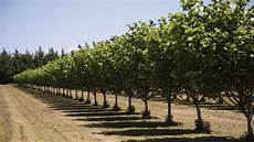 Solar Irrigation Systems