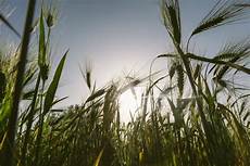 Solar Irrigation Systems