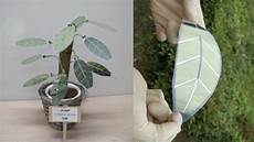 Solar Power Generators