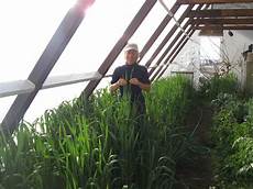 Solar Stirling