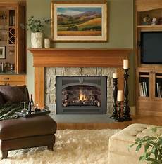 Stove Insert